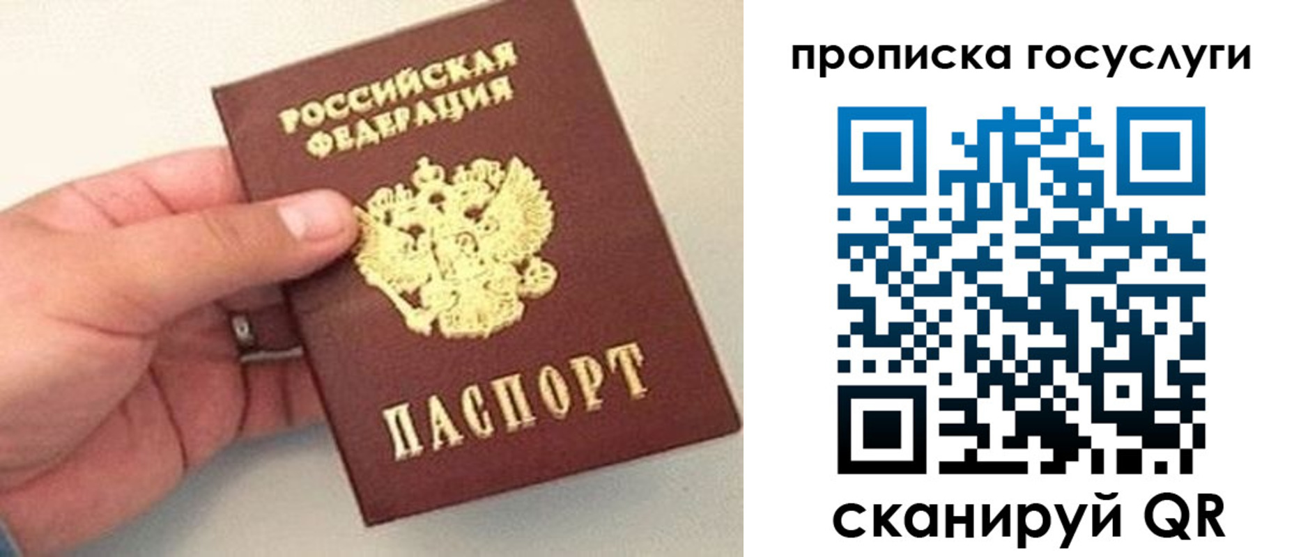 где прописаться в Назрани